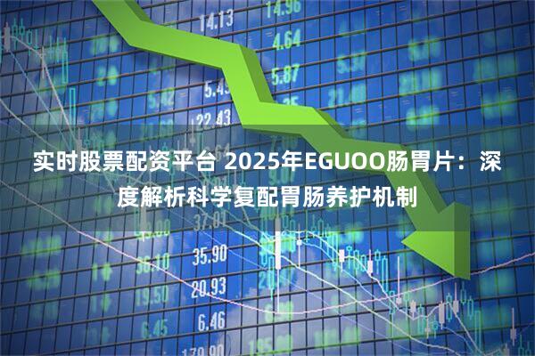 实时股票配资平台 2025年EGUOO肠胃片：深度解析科学复配胃肠养护机制