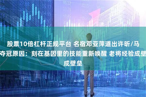 股票10倍杠杆正规平台 名宿邓亚萍道出许昕/马龙夺冠原因:刻在基因里的技能重新唤醒 老将经验成壁垒